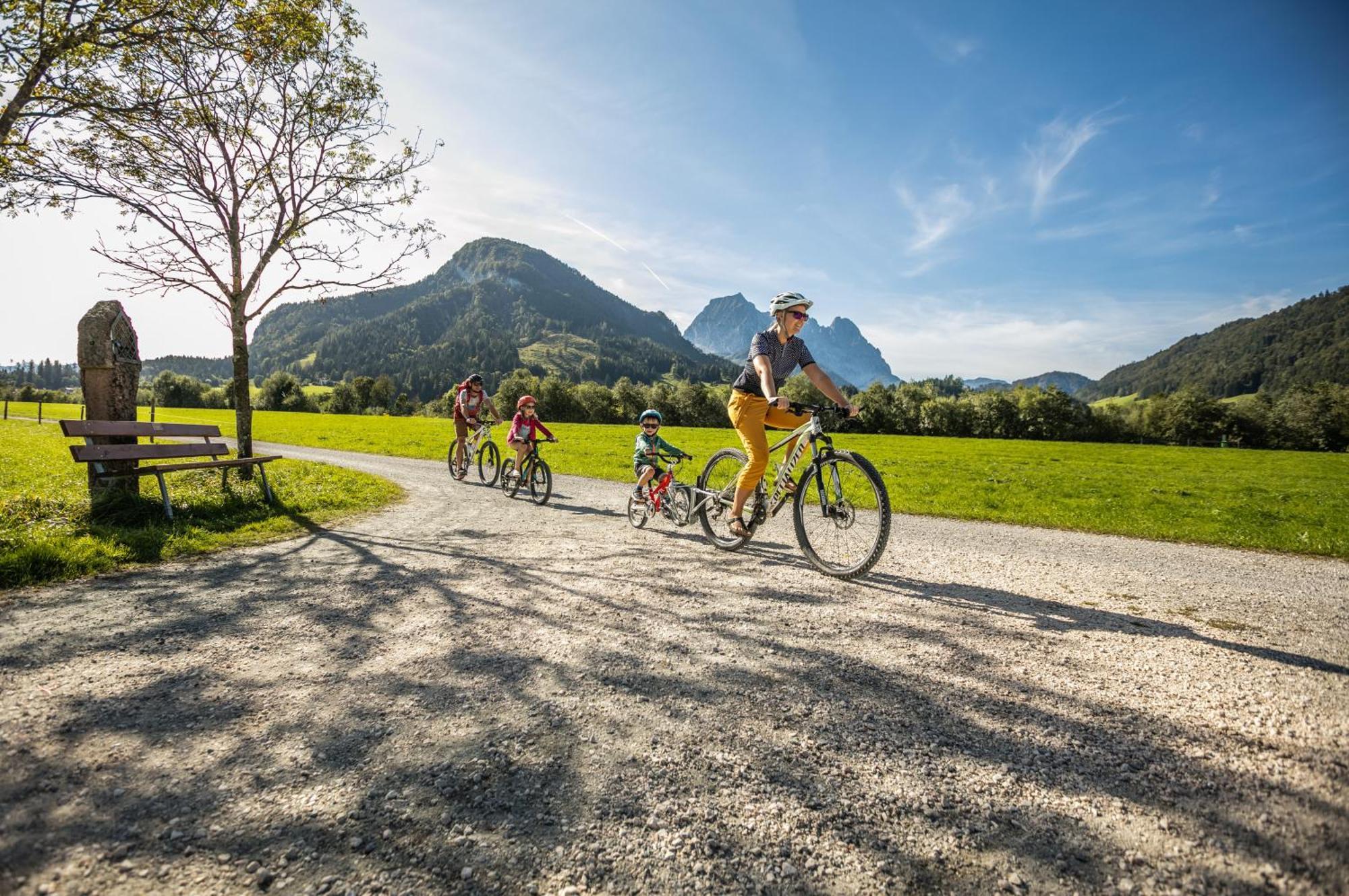 Pure Mountain Base Apartment Erpfendorf Luaran gambar