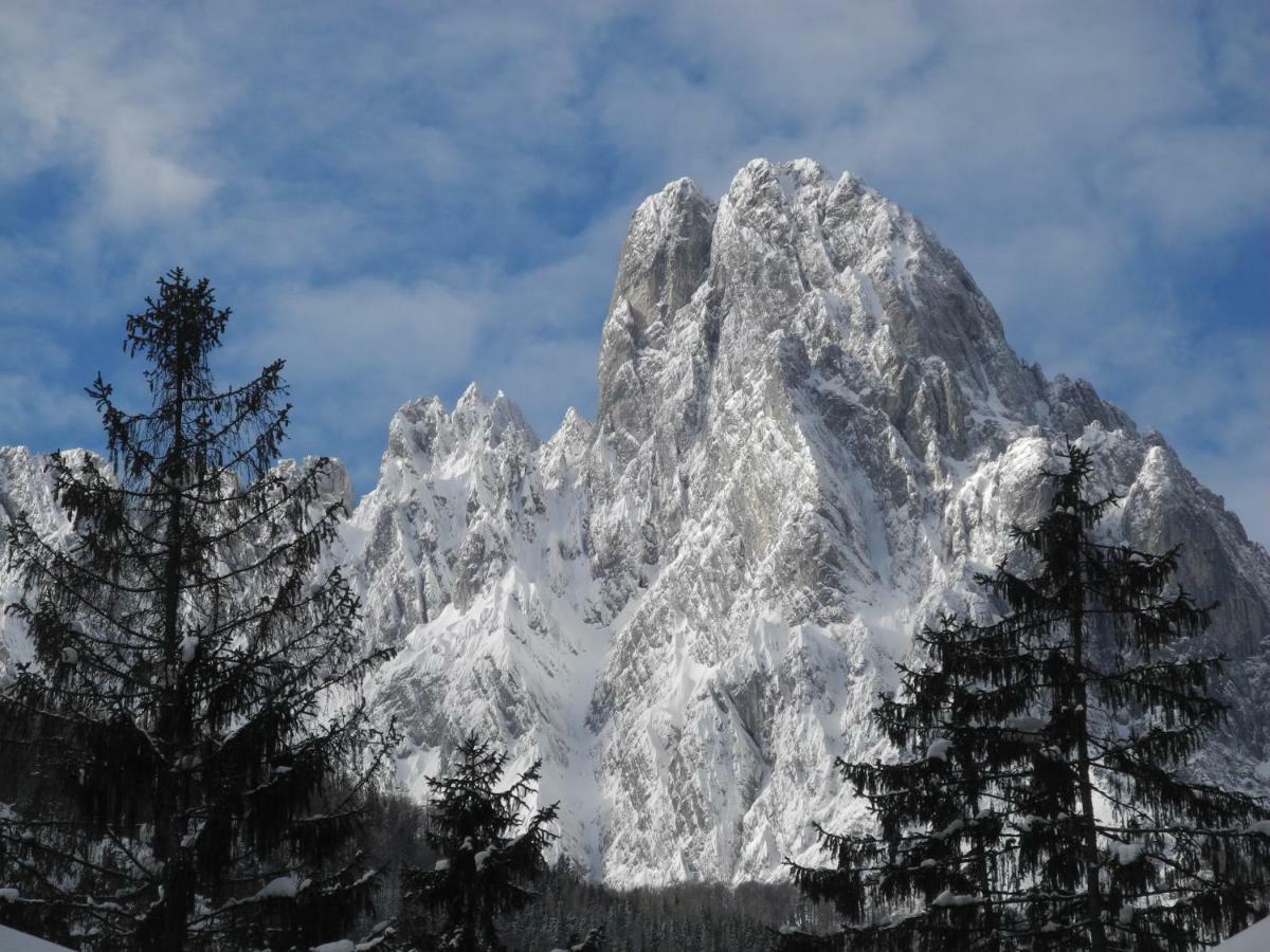 Pure Mountain Base Apartment Erpfendorf Luaran gambar