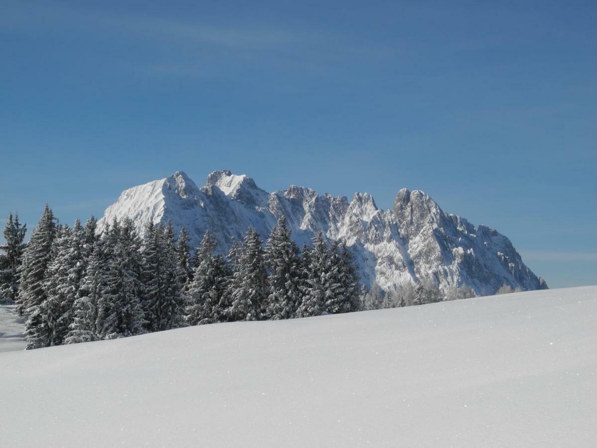 Pure Mountain Base Apartment Erpfendorf Luaran gambar