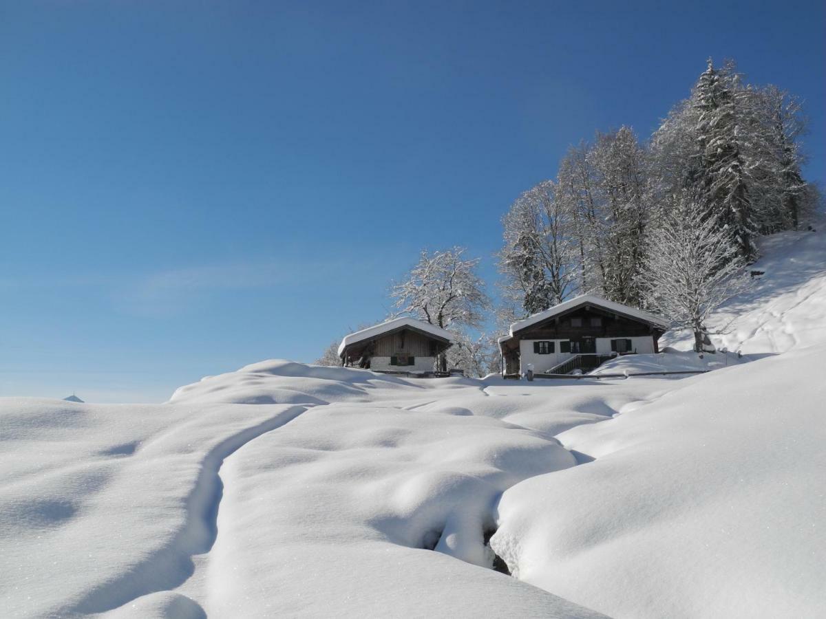 Pure Mountain Base Apartment Erpfendorf Luaran gambar